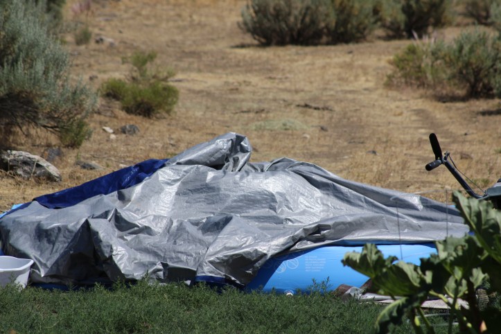 Easy Up, Easier Down Pool